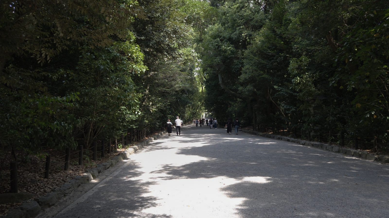 熱田神宮 参道 / Approach path through the sacred forest