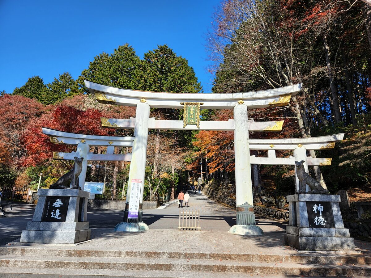 三峯神社 三ツ鳥居とオオカミの守護像 / Triple torii gate with wolf guardian statues